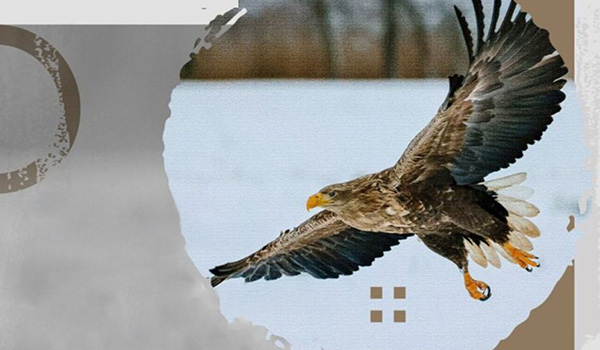 Kęstučio Ptakausko fotografijų parodos atidarymas