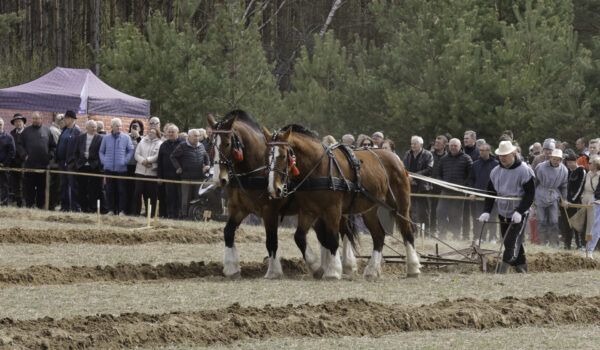 Tradicinė „Pirmosios vagos“ šventė ir vėl sukvietė artojus