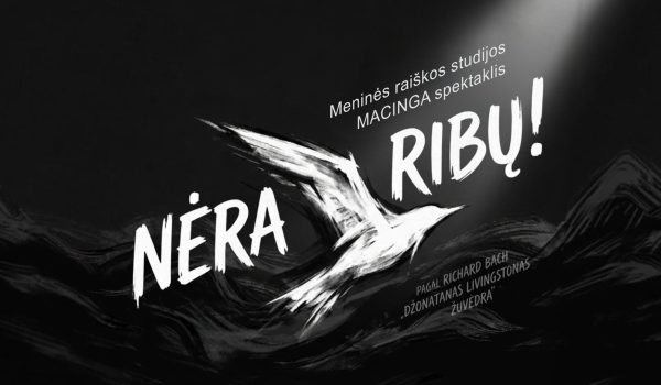 Meninės raiškos studijos „Macinga“ spektaklis NĖRA RIBŲ!