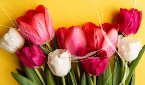 Koncertas, skirtas Motinos dienai „Gražiausi žodžiai – mamai“